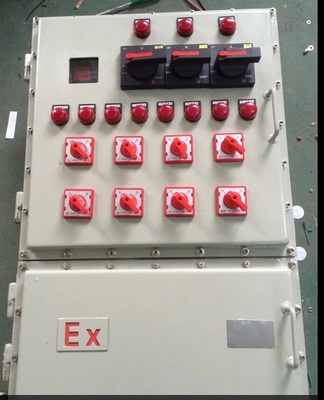 防爆控制箱 品牌聚焦与市场解析——以乐清岩崎电气为例
